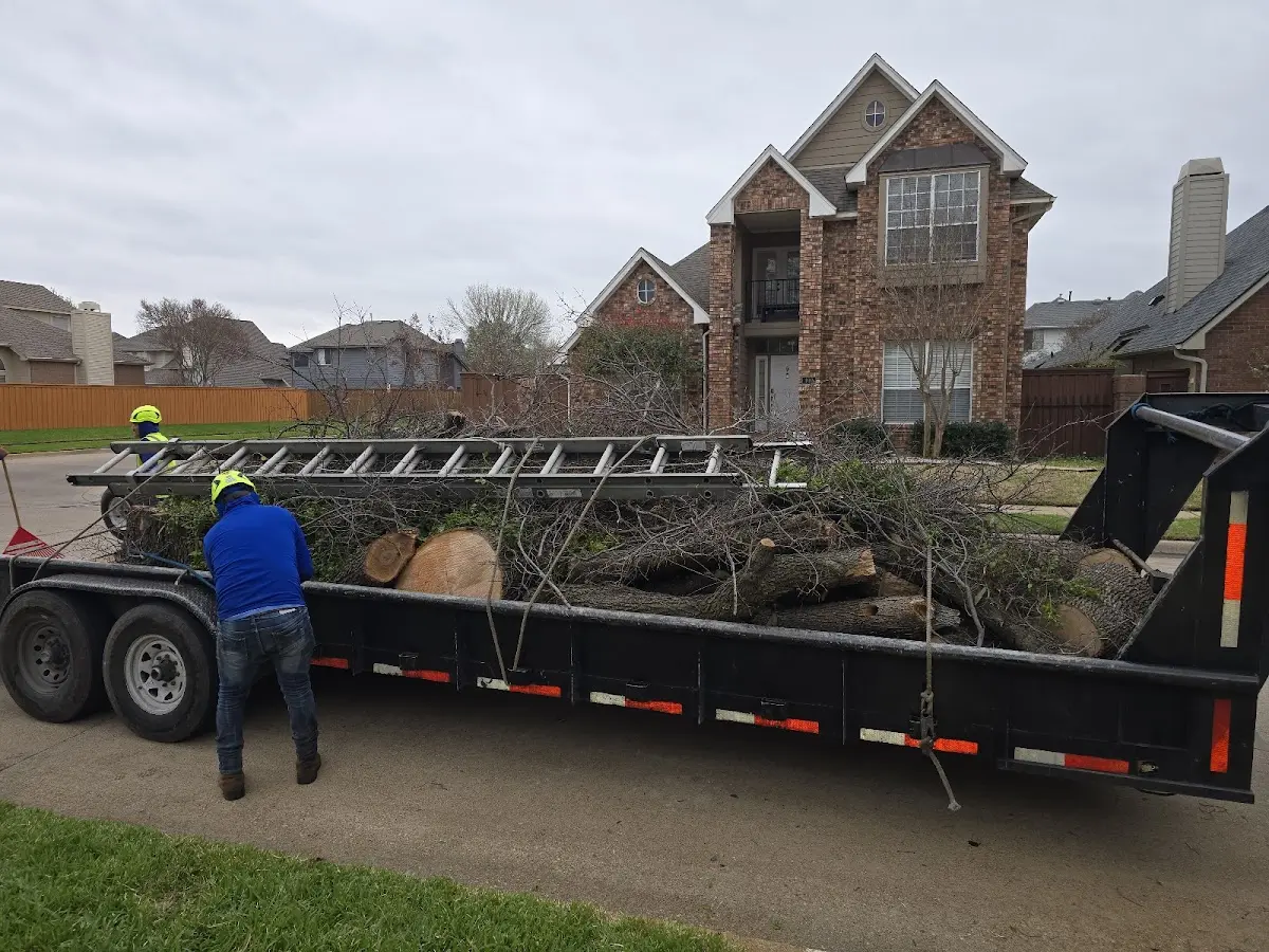 Expert Lot Clearing with proper safety equipment in Wolf